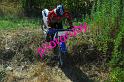MOTO (105)